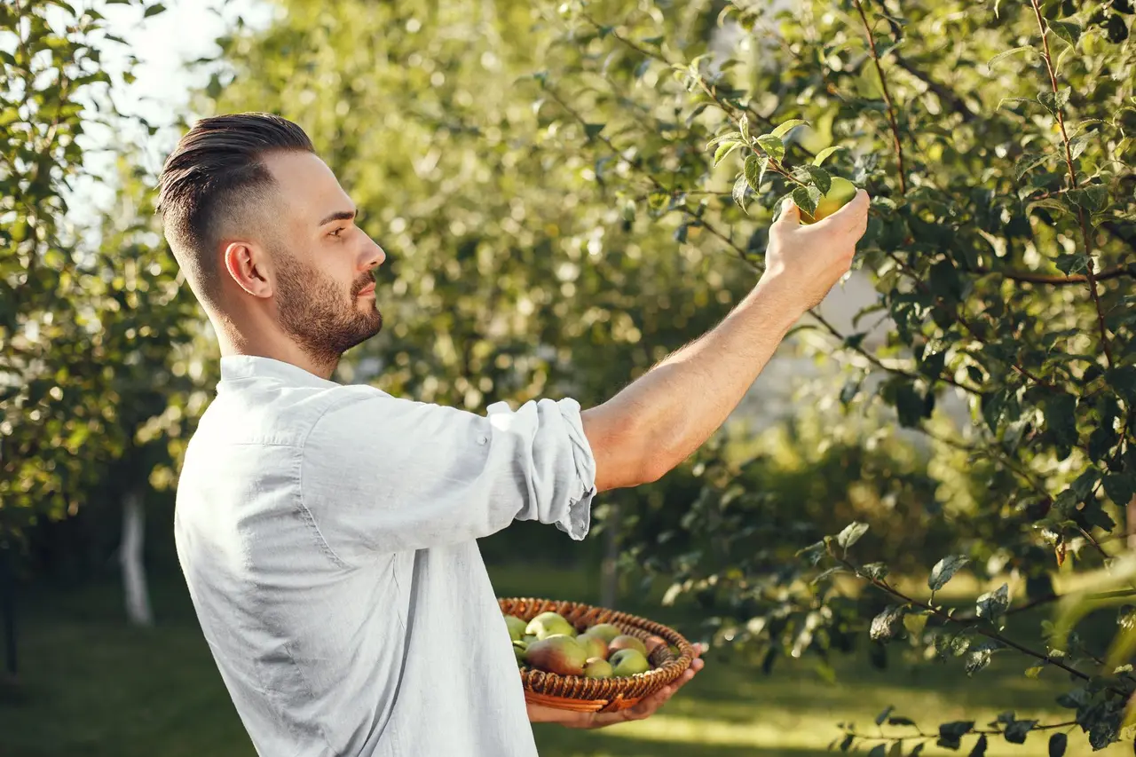 Árvores frutíferas no quintal: espécies, cuidados e benefícios
